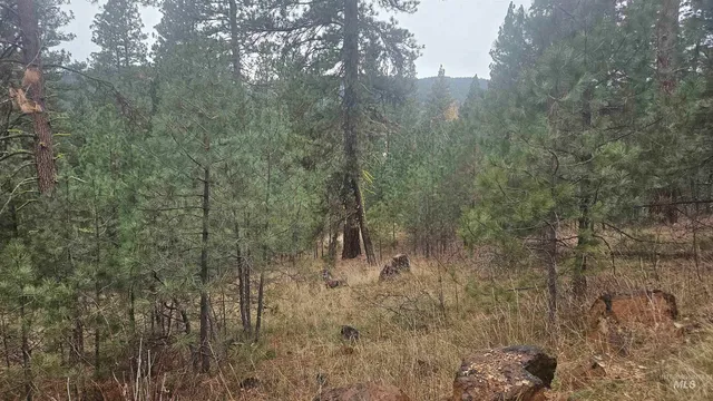 $199,990 | Lot 4 Boise Holcomb, Unit 3, Boise, ID 83716