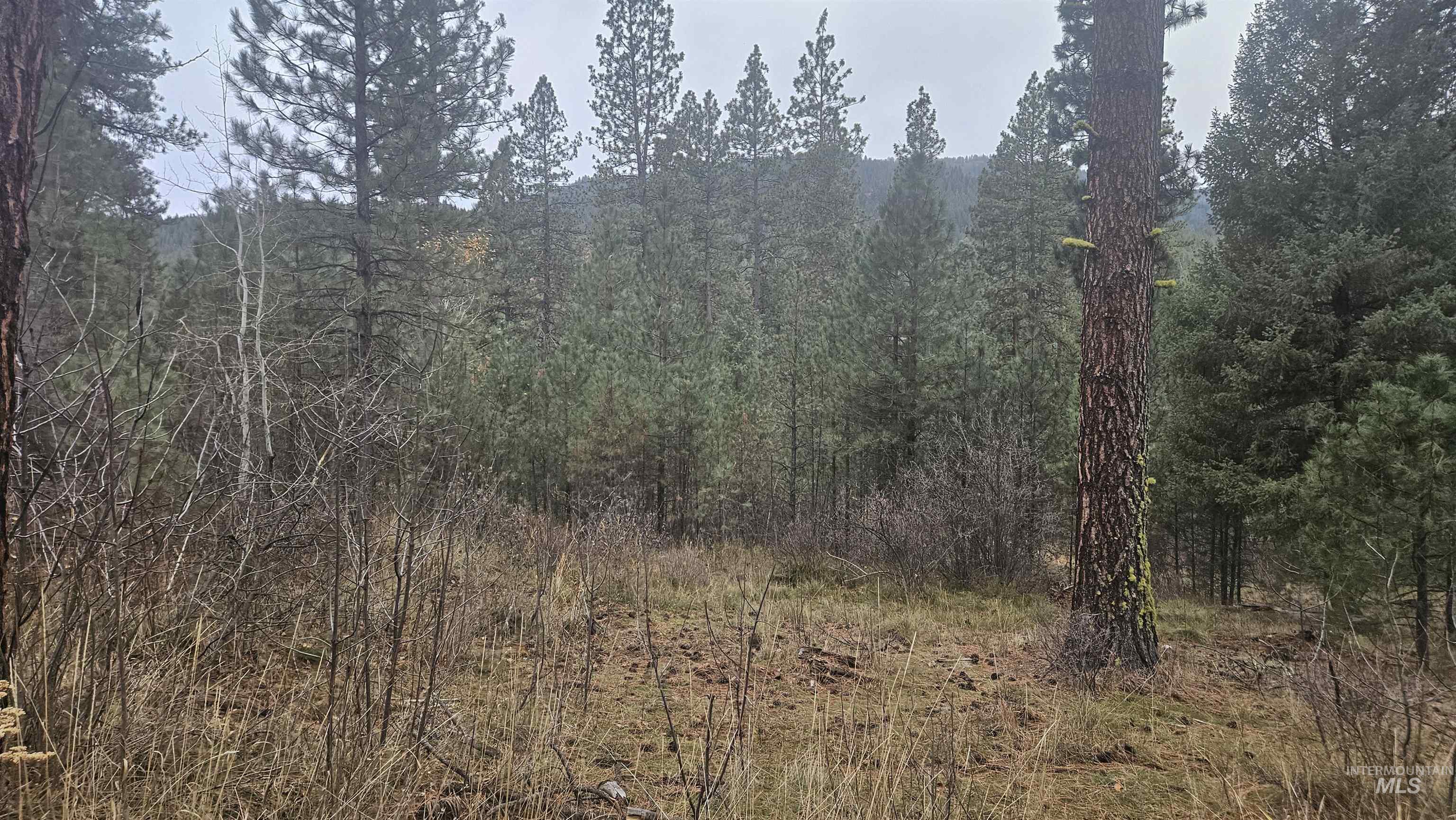 Lot 4 Boise Holcomb, Unit 3 Boise, ID 83716 - Photo 3 of 5