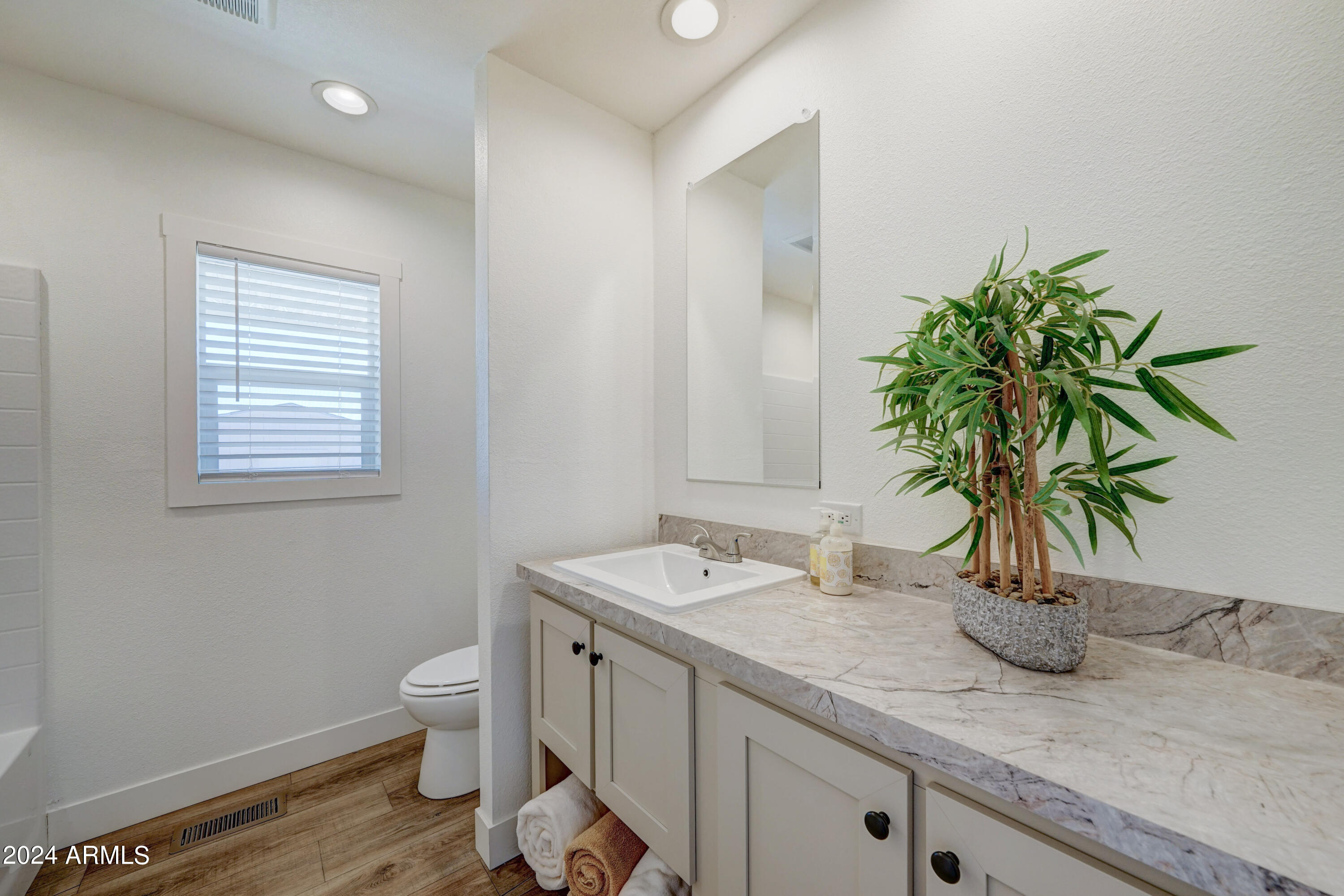 258 South Royal Palm Road Apache Junction, AZ 85119 - Photo 22 of 37 258 S Royal Palm-15