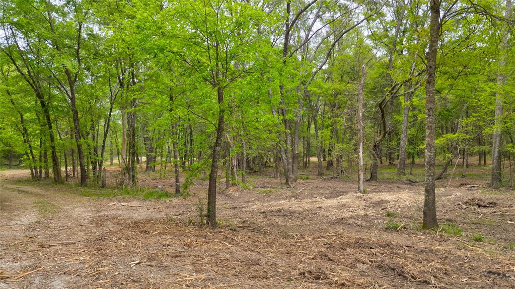 1411 Vz County Road 2139 Wills Point, TX 75169 - Photo 11 of 38