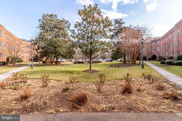 a view of a park with large trees