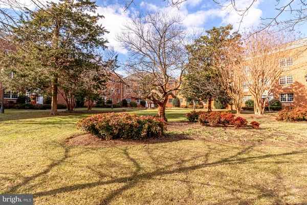 a view of a yard with snow on the roadside