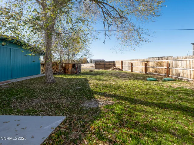 a view of a yard with large trees