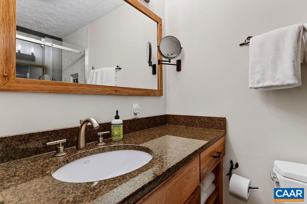 96 Squirrel Tree Lane Roseland, VA 22967 - Photo 20 of 46 a bathroom with a granite countertop sink a toilet and mirror