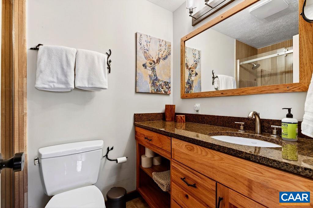 96 Squirrel Tree Lane Roseland, VA 22967 - Photo 26 of 46 a bathroom with a granite countertop sink mirror vanity and toilet
