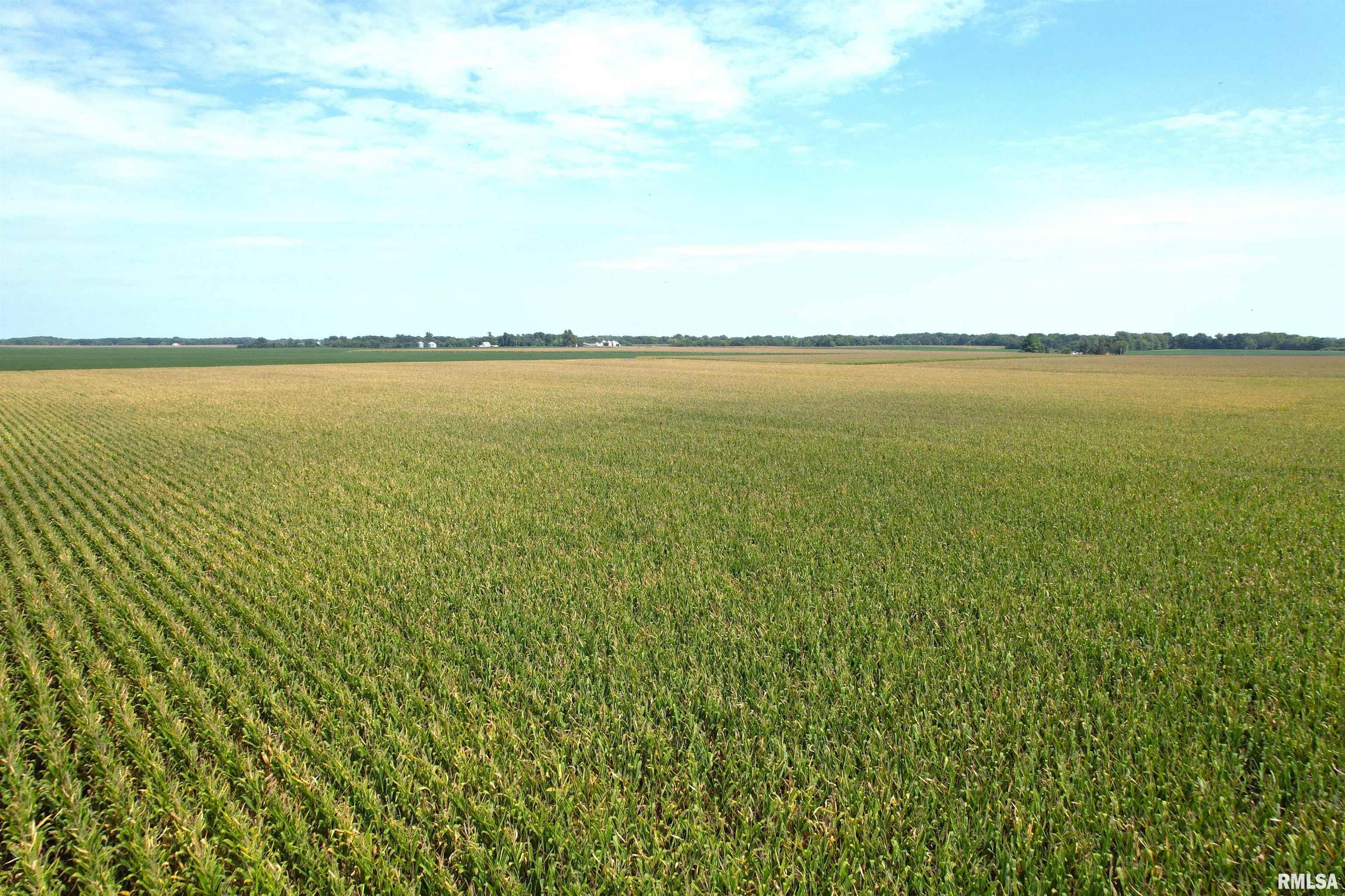 Preston Hollow Road Murrayville, IL 62668 - Photo 6 of 11 Gallery Image 6