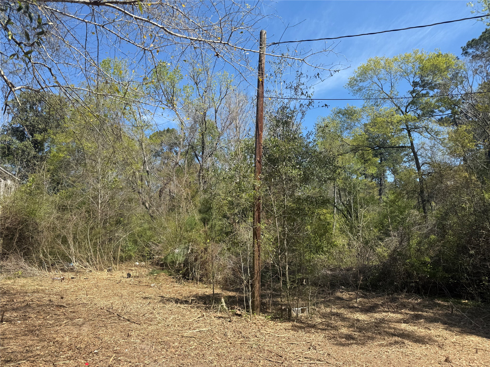 84 County Road 3708 Splendora, TX 77372 - Photo 3 of 5 a view of a pathway with a tree