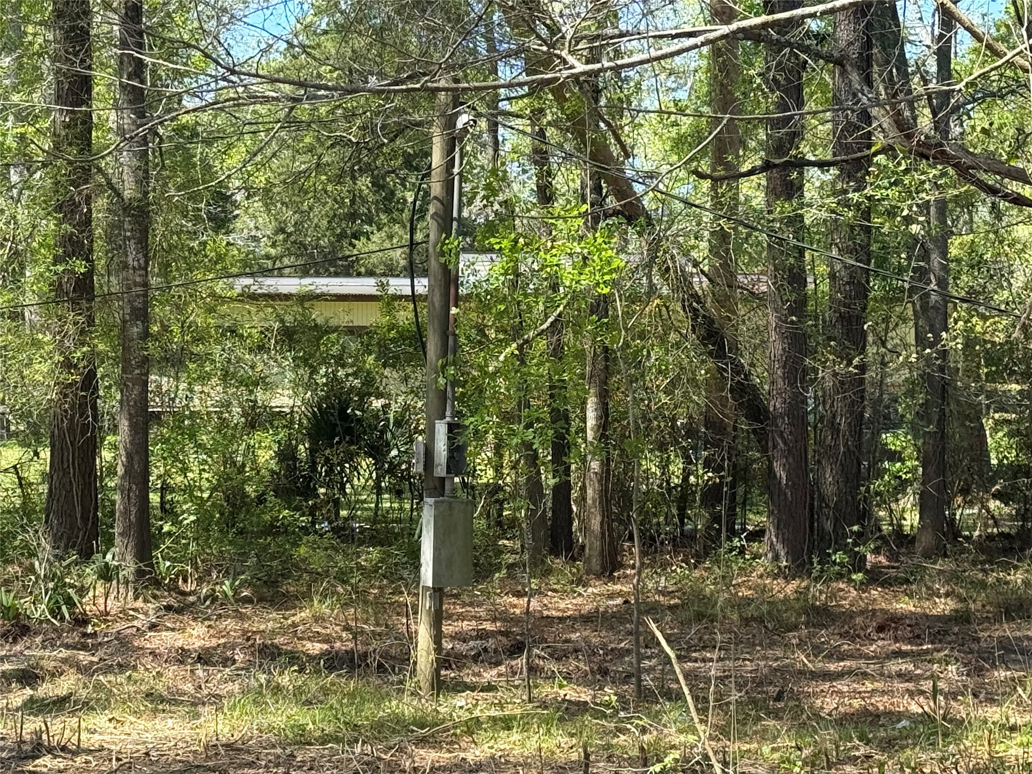 84 County Road 3708 Splendora, TX 77372 - Photo 5 of 5 a backyard of a house with lots of trees