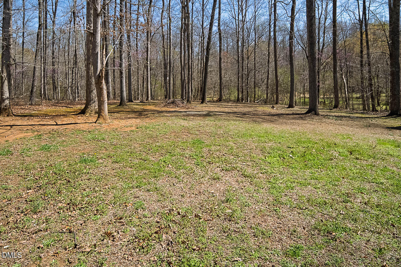 6668 Beaver Ridge Court Snow Camp, NC 27349 - Photo 9 of 38 a view of outdoor space with outdoor space
