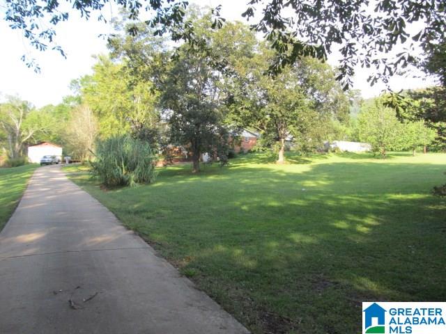 347 Pine Mountain Road Remlap, AL 35133 - Photo 39 of 49