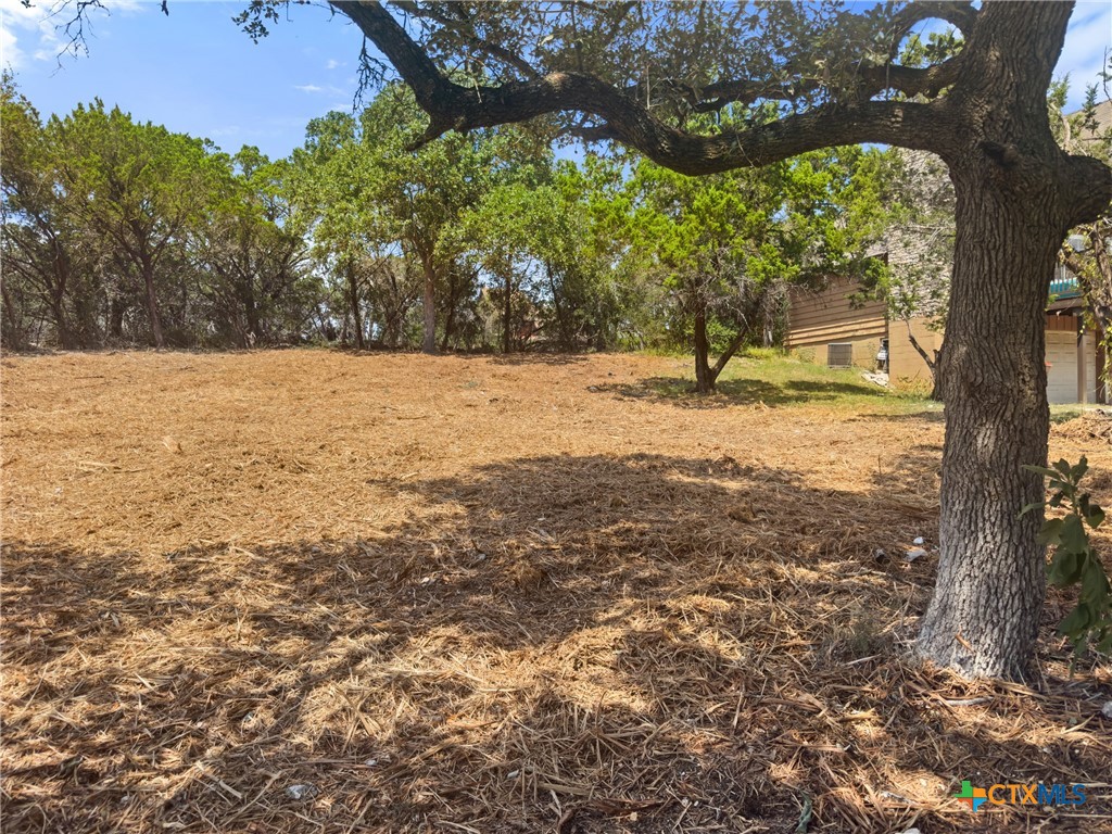 a view of yard with tree