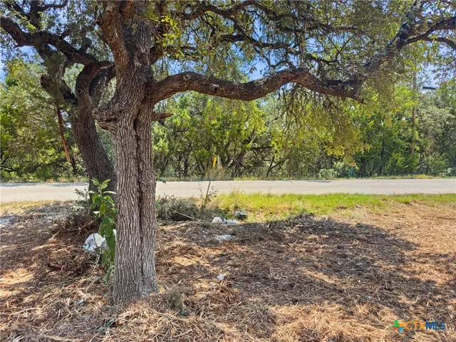 a view of a swimming pool and a yard