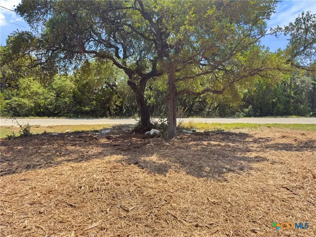 a view of a yard with a tree