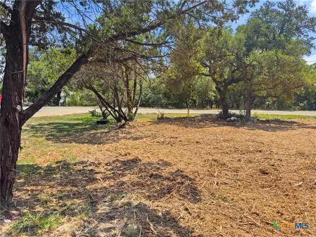 a view of a yard with a tree