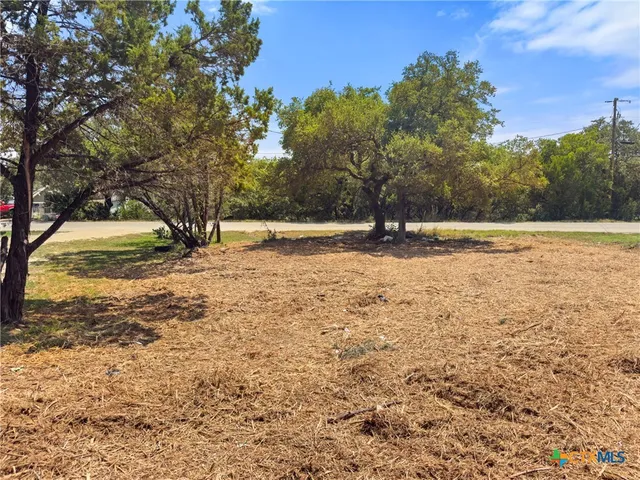 a view of dirt yard with a large tree