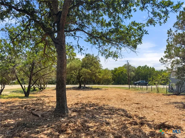 a view of outdoor space with trees