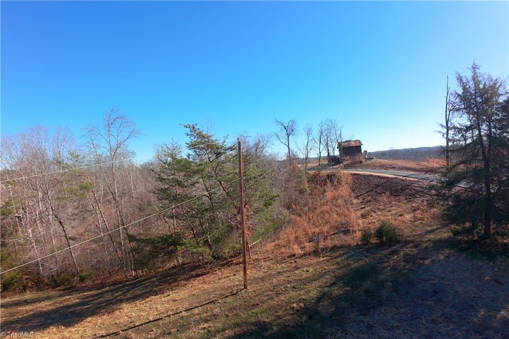 2 Roby Fulk Road Pinnacle, NC 27043 - Photo 16 of 24