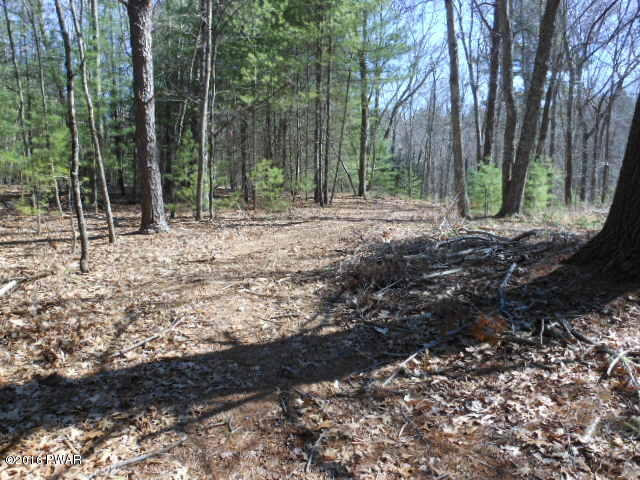 Milford Road Milford, PA 18337 - Photo 5 of 22 a view of outdoor space with green space