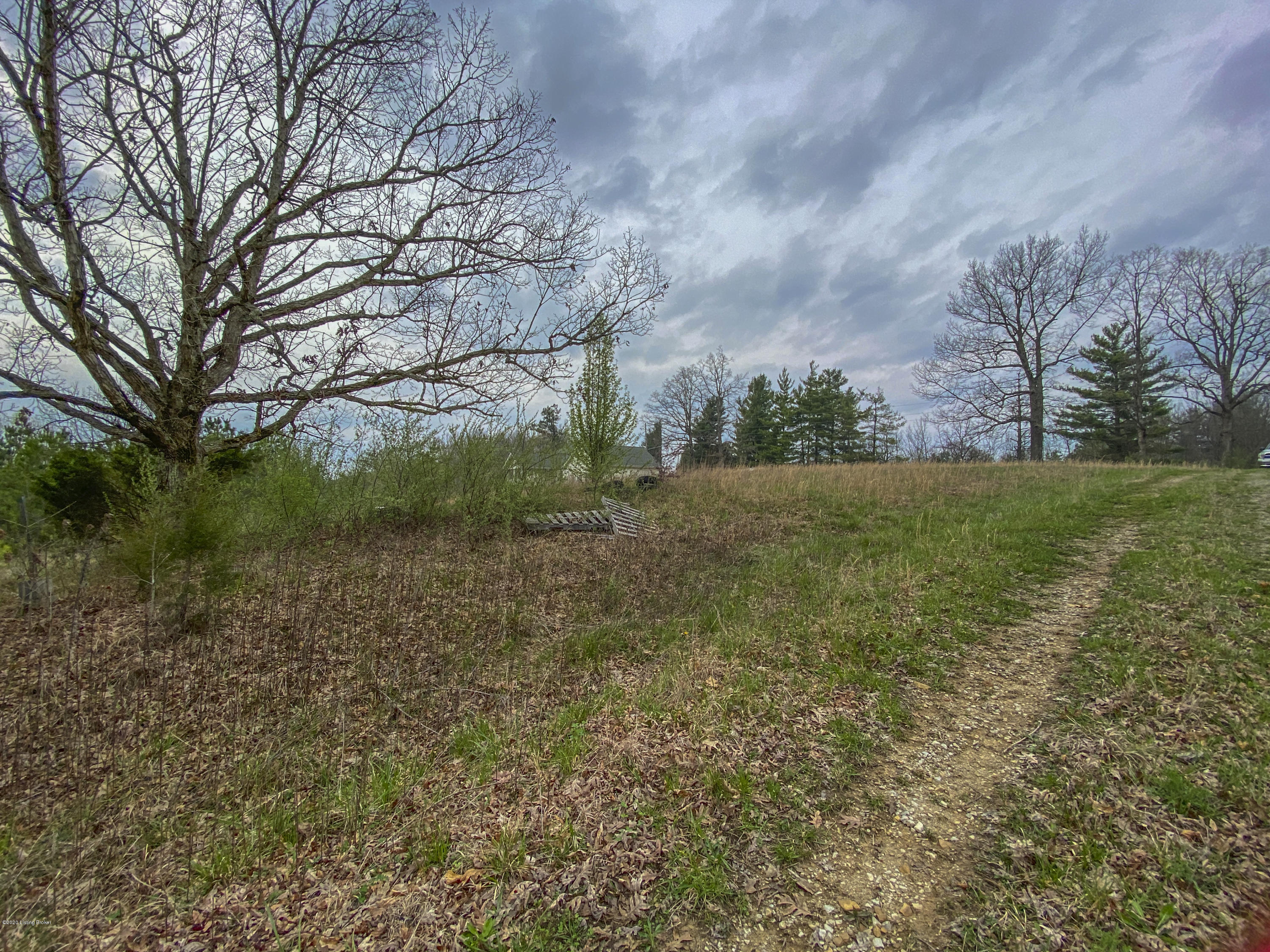 Lot 7 Sunbeam Road Leitchfield, KY 42754 - Photo 10 of 21 IMG_0630