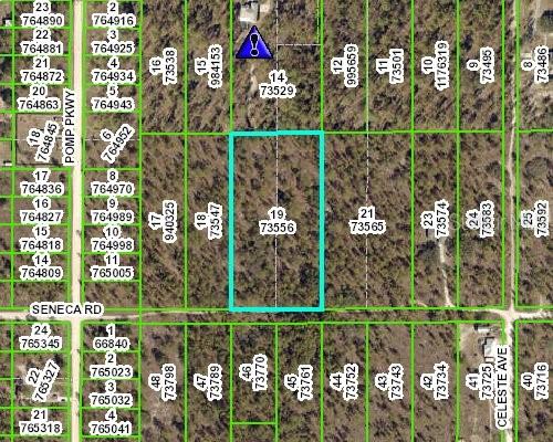 13195 Seneca Road Weeki Wachee, FL 34614 - Photo 1 of 1 Gallery Image 1