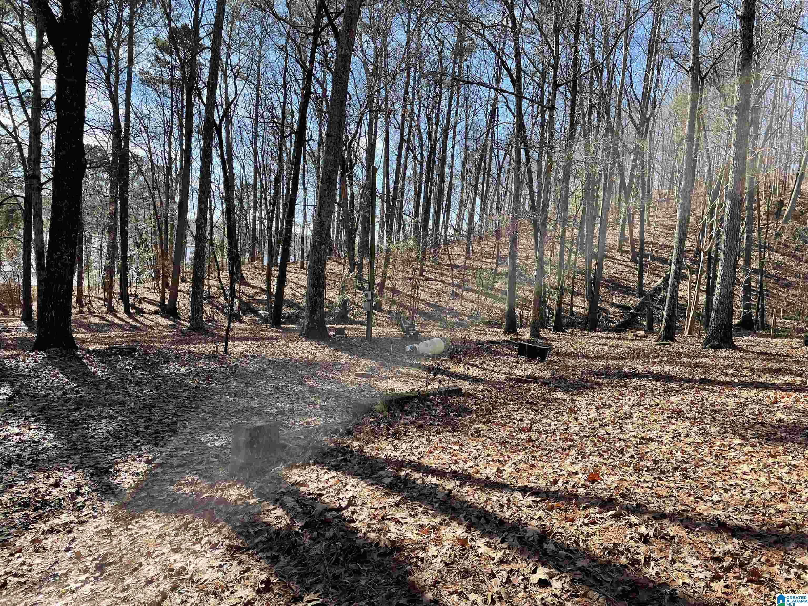 856 Whorton Bend Road, Unit 128 84 130 Rainbow City, AL 35906 - Photo 35 of 38