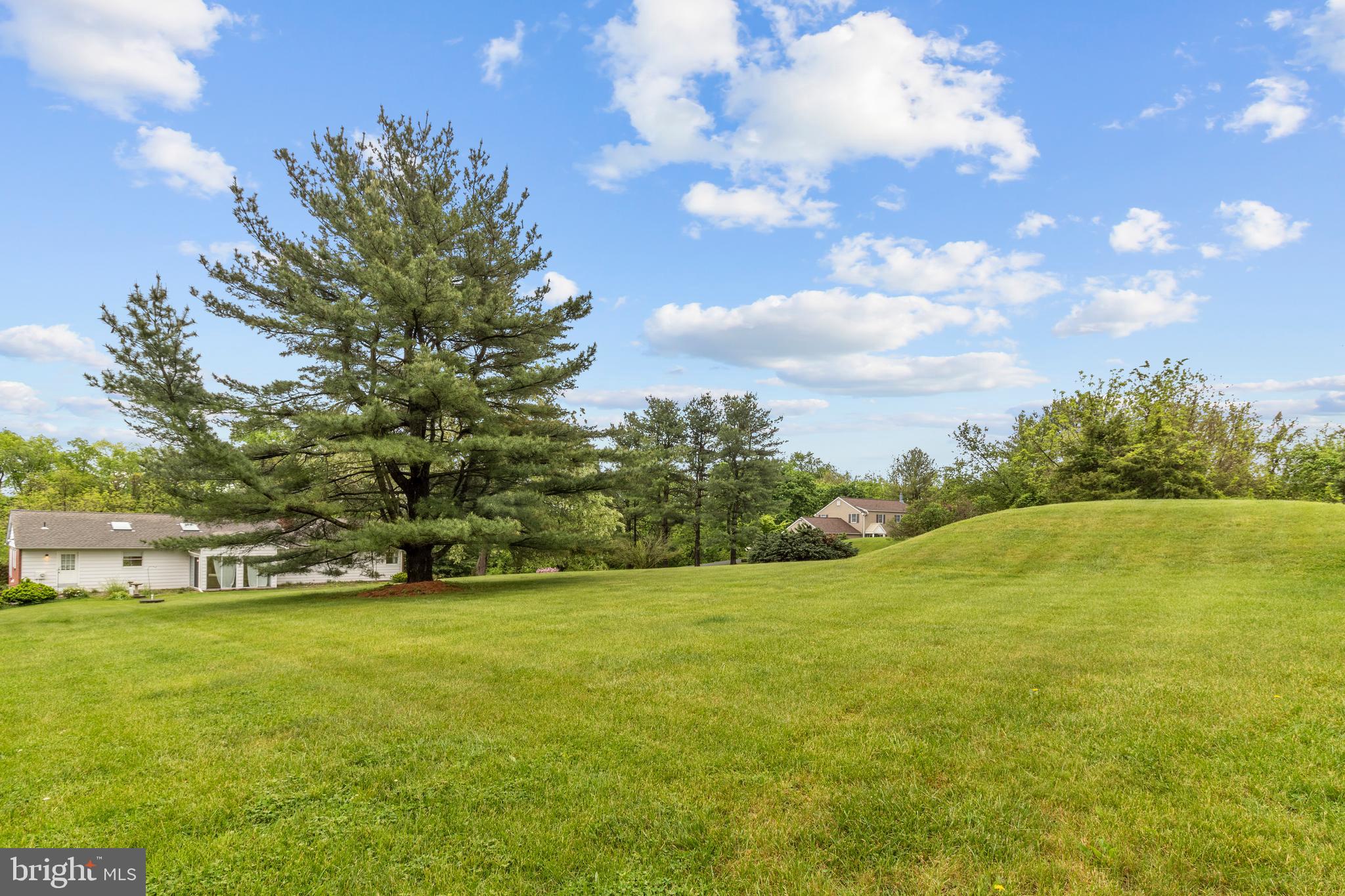 195 Firecreek Road Newtown, PA 18940 - Photo 4 of 23 Back Yard