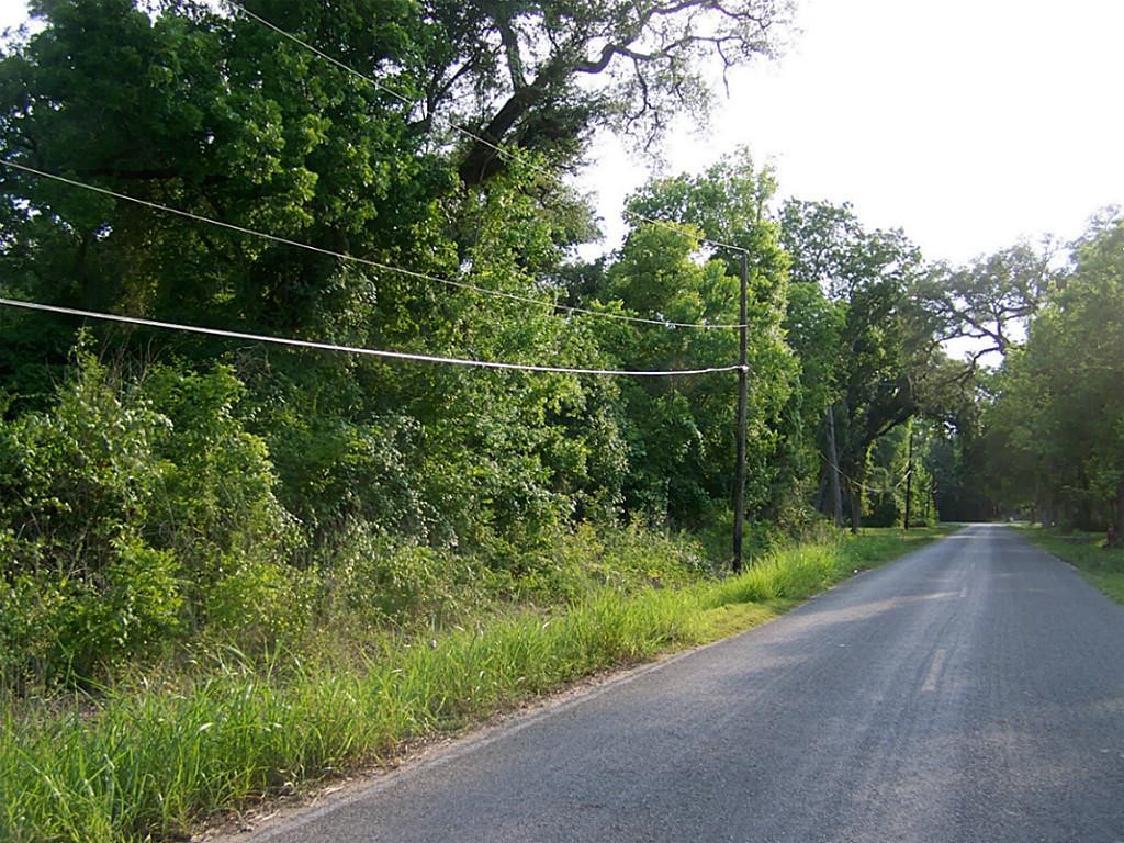 a view of a balcony with a plant