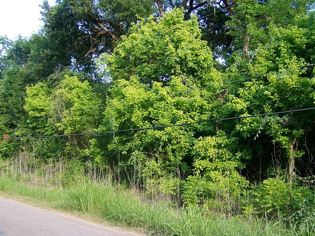 433 Manila Drive Angleton, TX 77515 - Photo 2 of 2