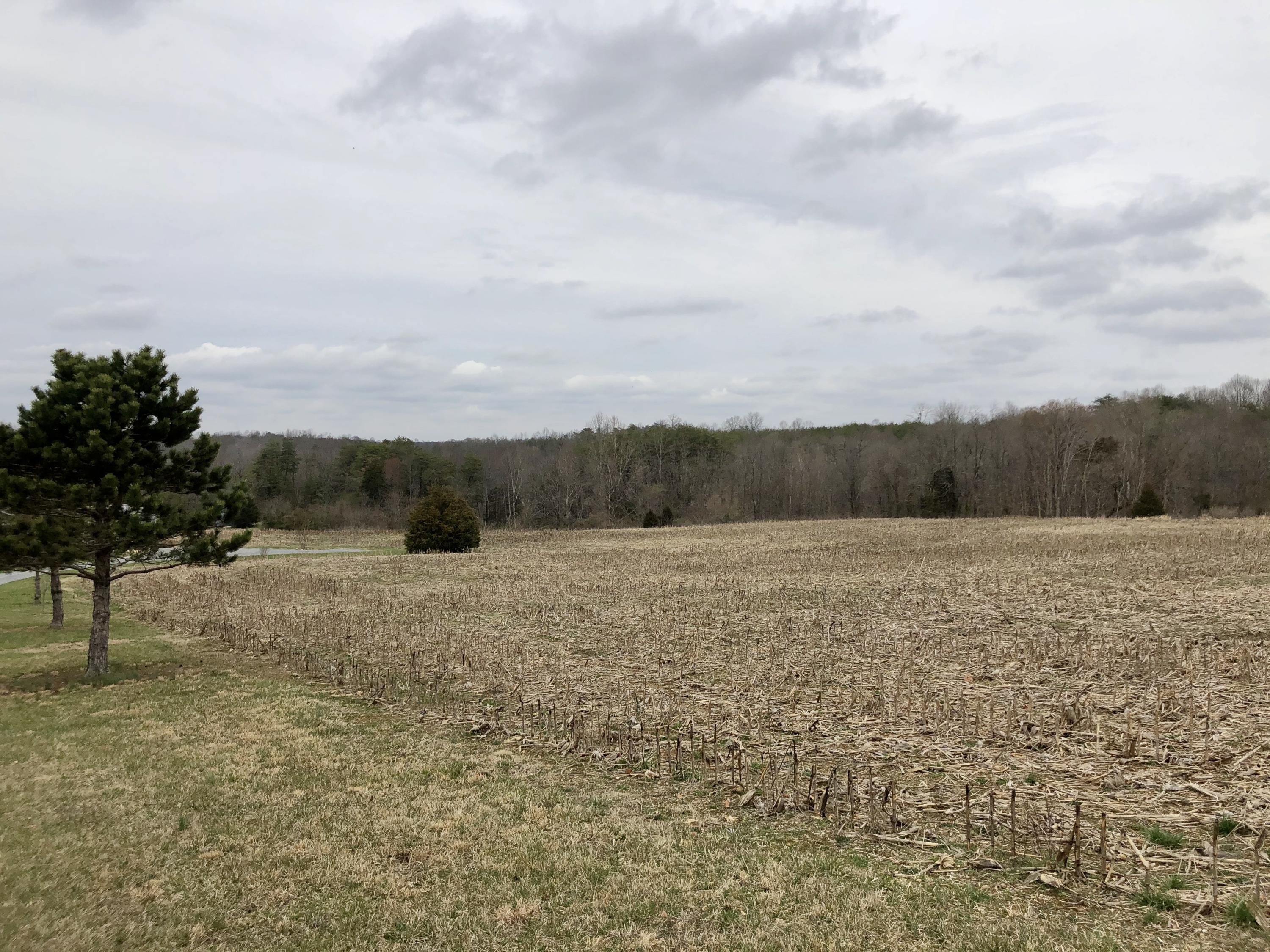 1250 Blankenship Road Jamestown, KY 42629 - Photo 31 of 44 IMG_3139