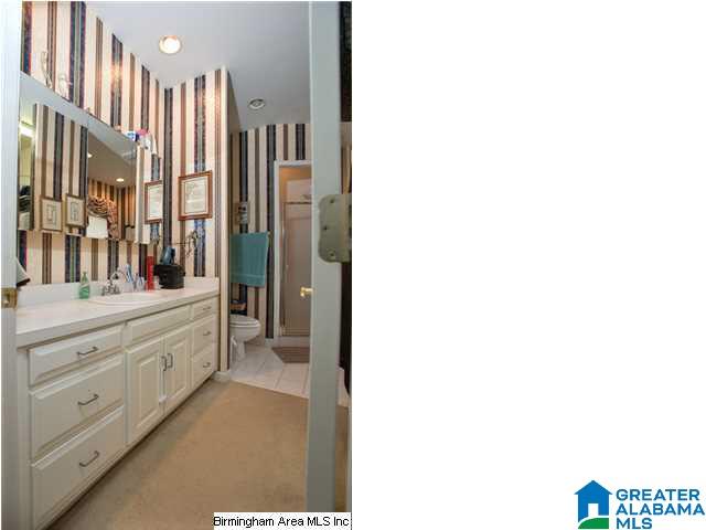 258 Mill Ridge Lane Pell City, AL 35128 - Photo 24 of 31
