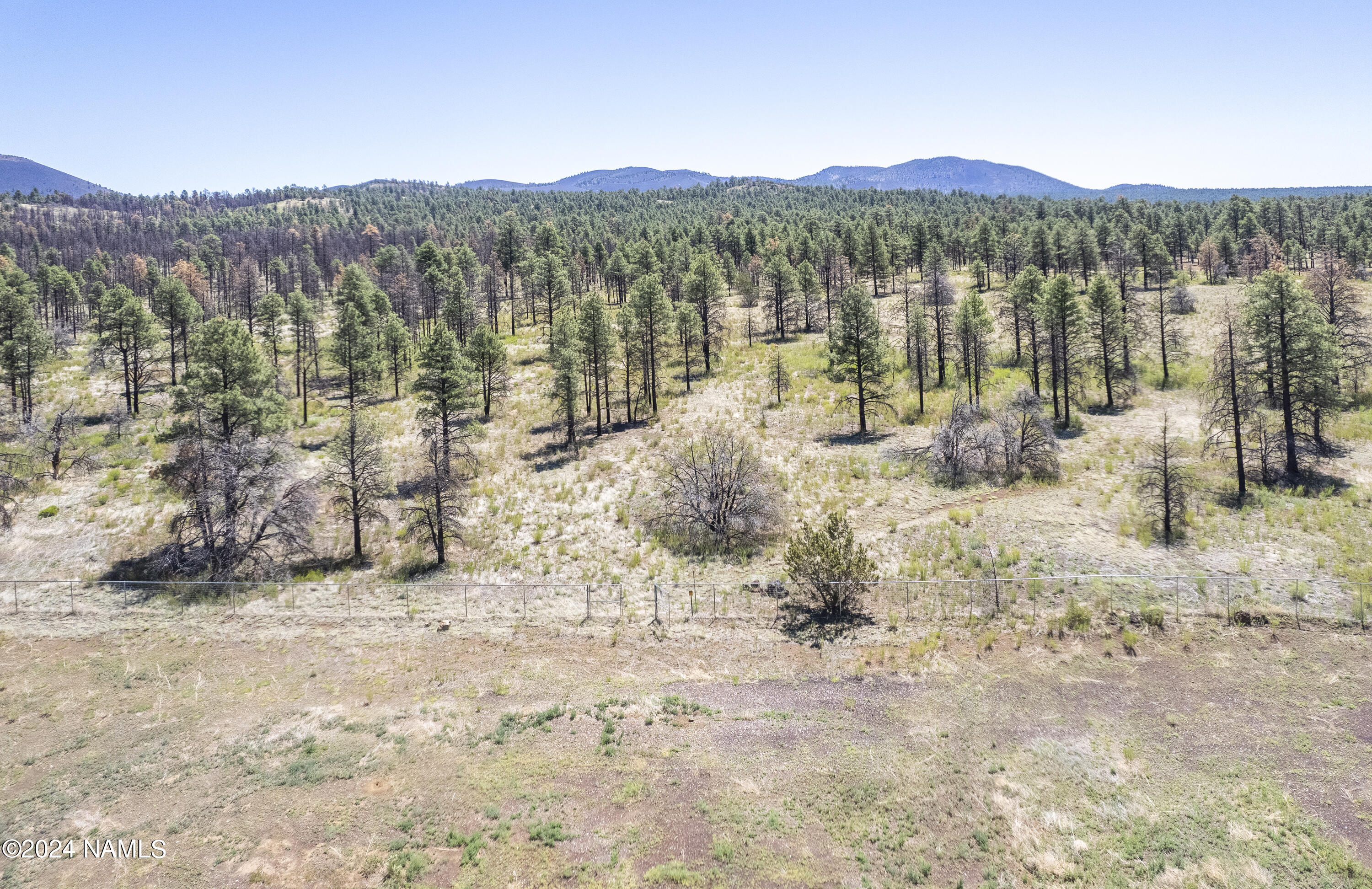 5950 East Girls Rnch Road Flagstaff, AZ 86004 - Photo 8 of 13 Looking Into The Forest