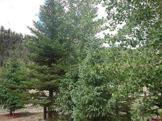 181 Doe Circle South Fork, CO 81154 - Photo 8 of 35 a view of a tree in a forest