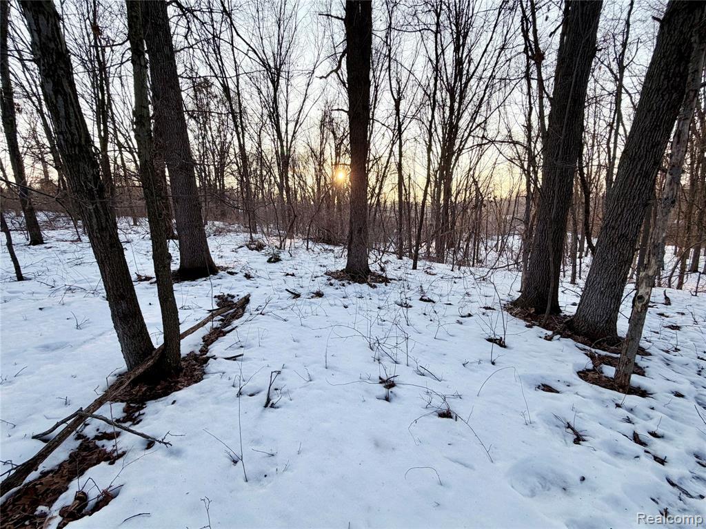0 Pine Knob Road Clarkston, MI 48348 - Photo 5 of 12