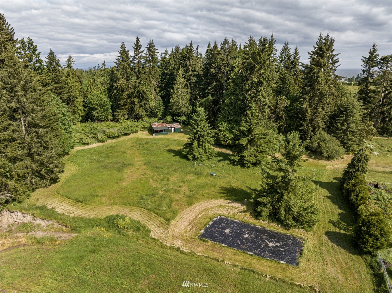 133 Gehrke Road Port Angeles, WA 98362 - Photo 4 of 25 Gallery Image 4