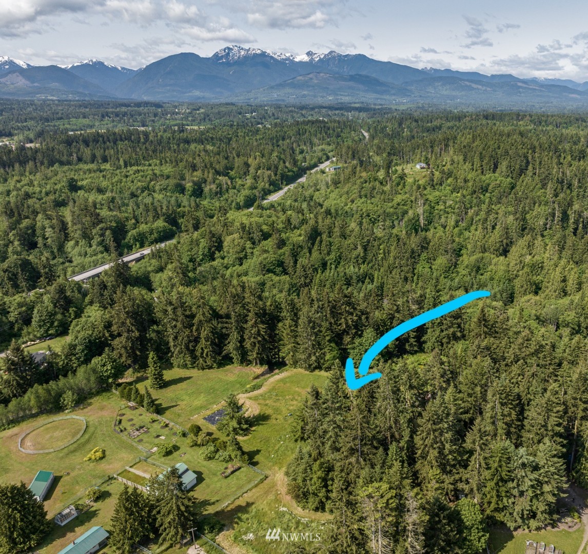 133 Gehrke Road Port Angeles, WA 98362 - Photo 8 of 25 Gallery Image 8