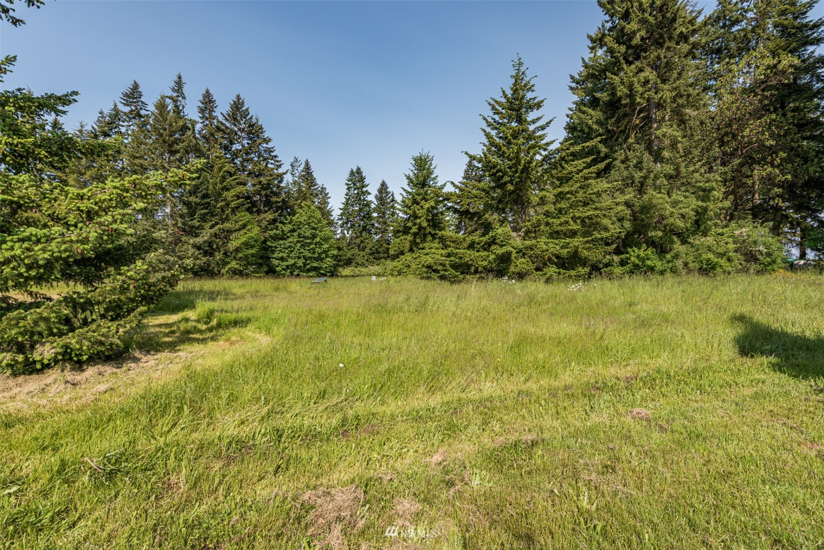 133 Gehrke Road Port Angeles, WA 98362 - Photo 9 of 25 Gallery Image 9