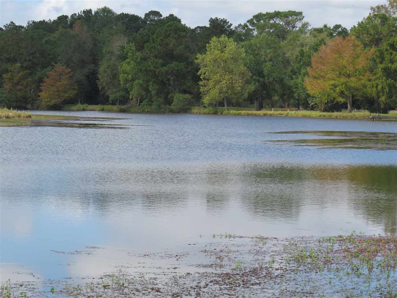 25915 Bush Isle Road Andalusia, AL 36421 - Photo 40 of 42 Gallery Image 40