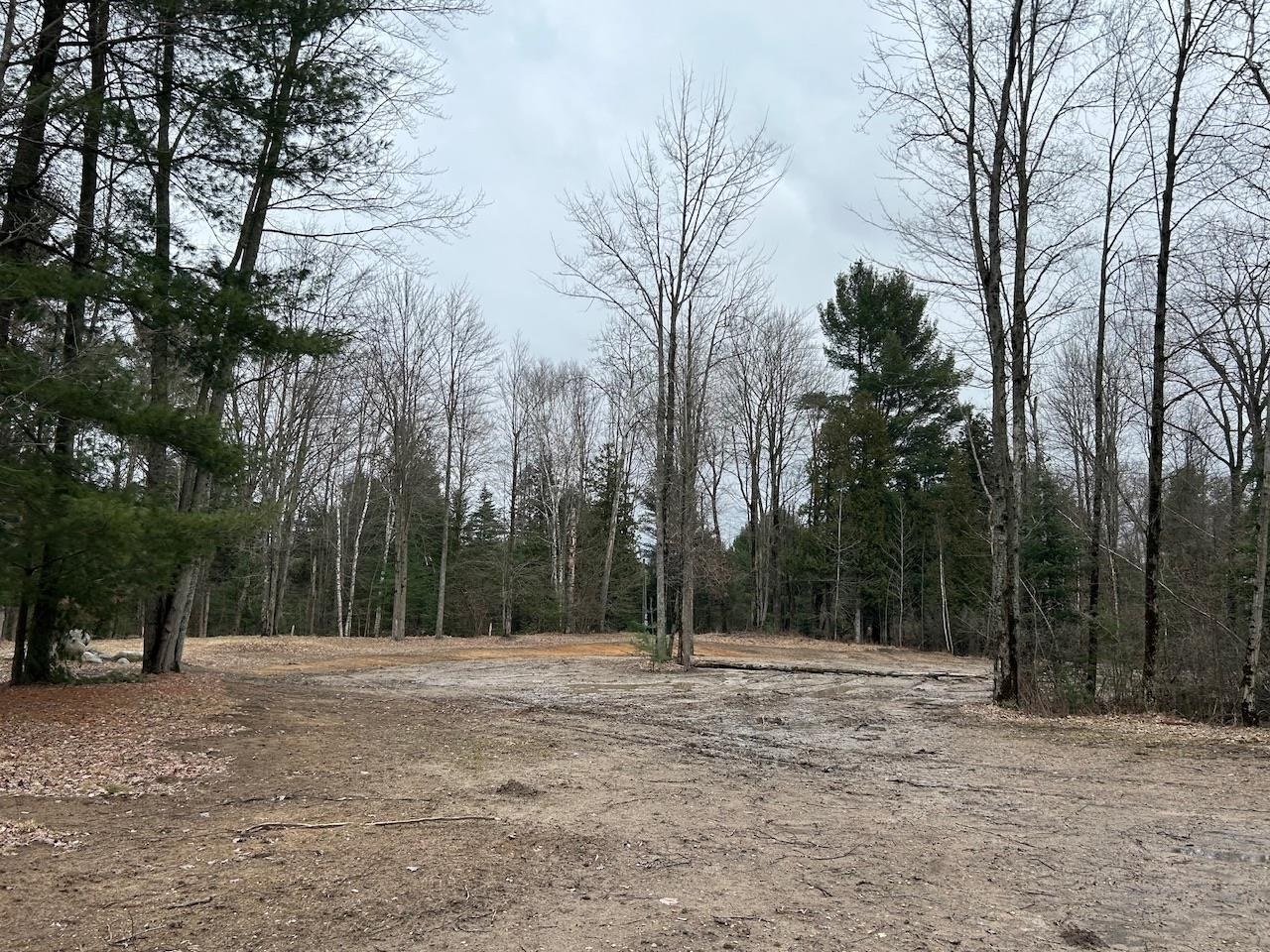 19.2 Acres W M61 Road Gladwin, MI 48624 - Photo 3 of 17
