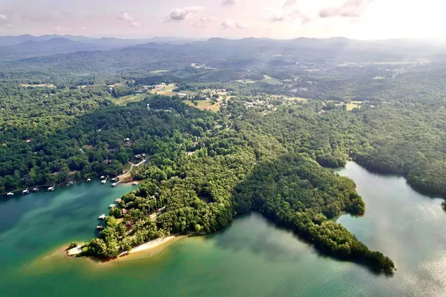 an aerial view of mountain with trees