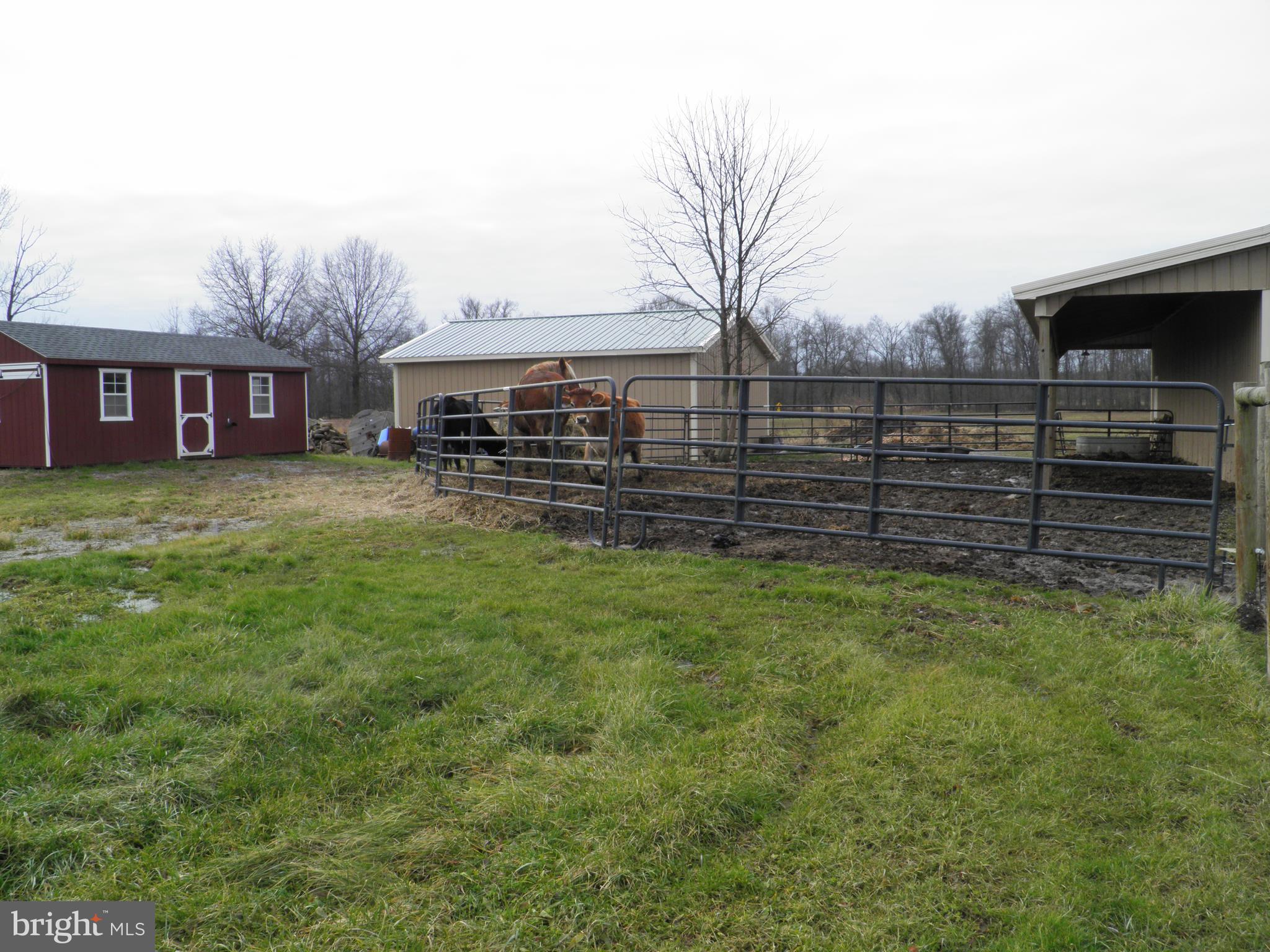 200 West Thatcher Road Quakertown, PA 18951 - Photo 3 of 80 Gallery Image 3