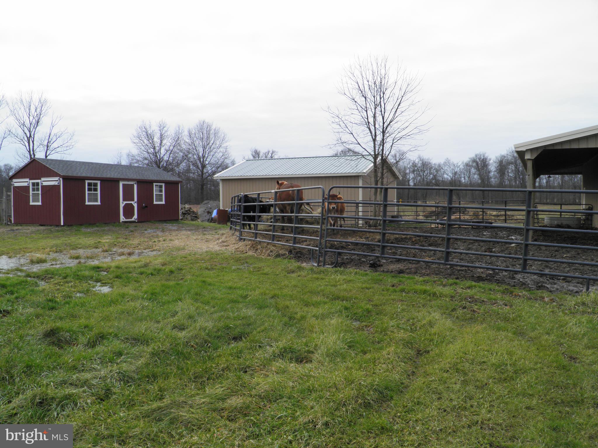 200 West Thatcher Road Quakertown, PA 18951 - Photo 5 of 80 Gallery Image 5
