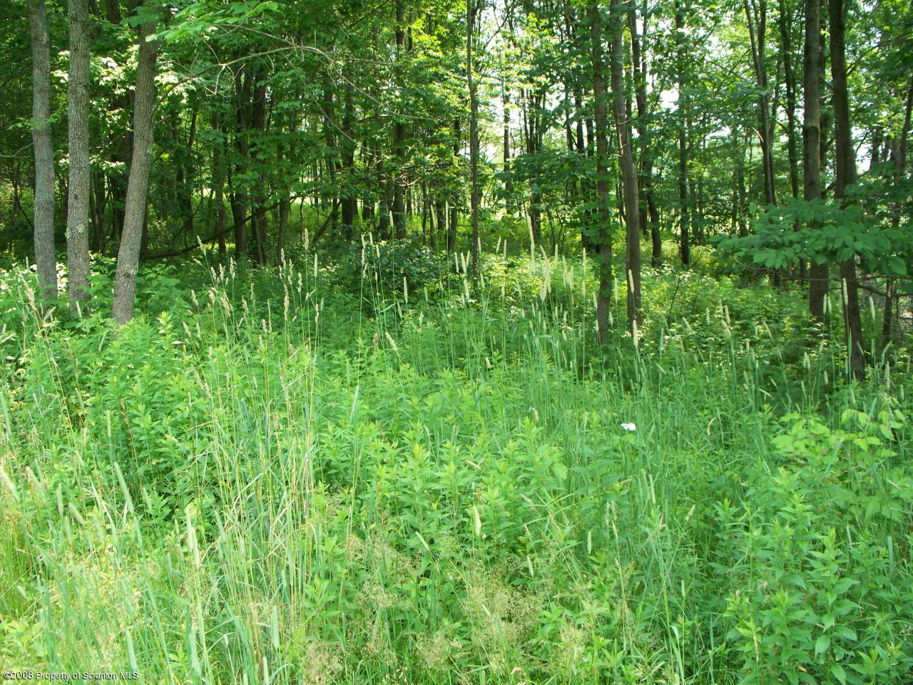 39 Jacobs Ladder Road Starrucca, PA 18462 - Photo 13 of 16 Gallery Image 13