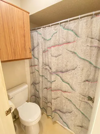 a view of a tennis ground with large trees