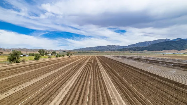 $249,000 | Highline, Tehachapi, CA 93561