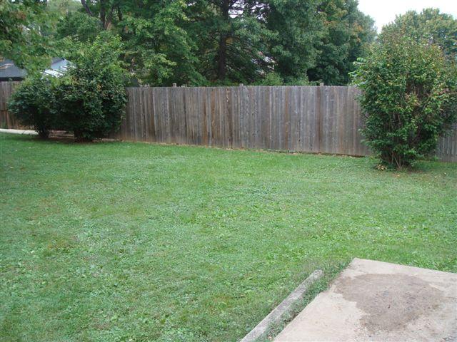 3731 New Spring Branch Road Southeast Roanoke, VA 24014 - Photo 12 of 12 yard