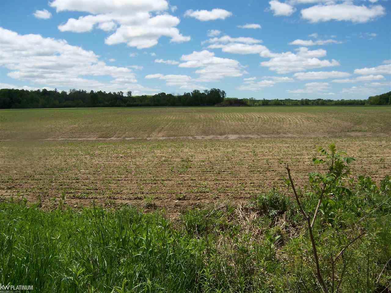 Lot C Lot C Lashbrook Road Goodells, MI 48027 - Photo 1 of 2