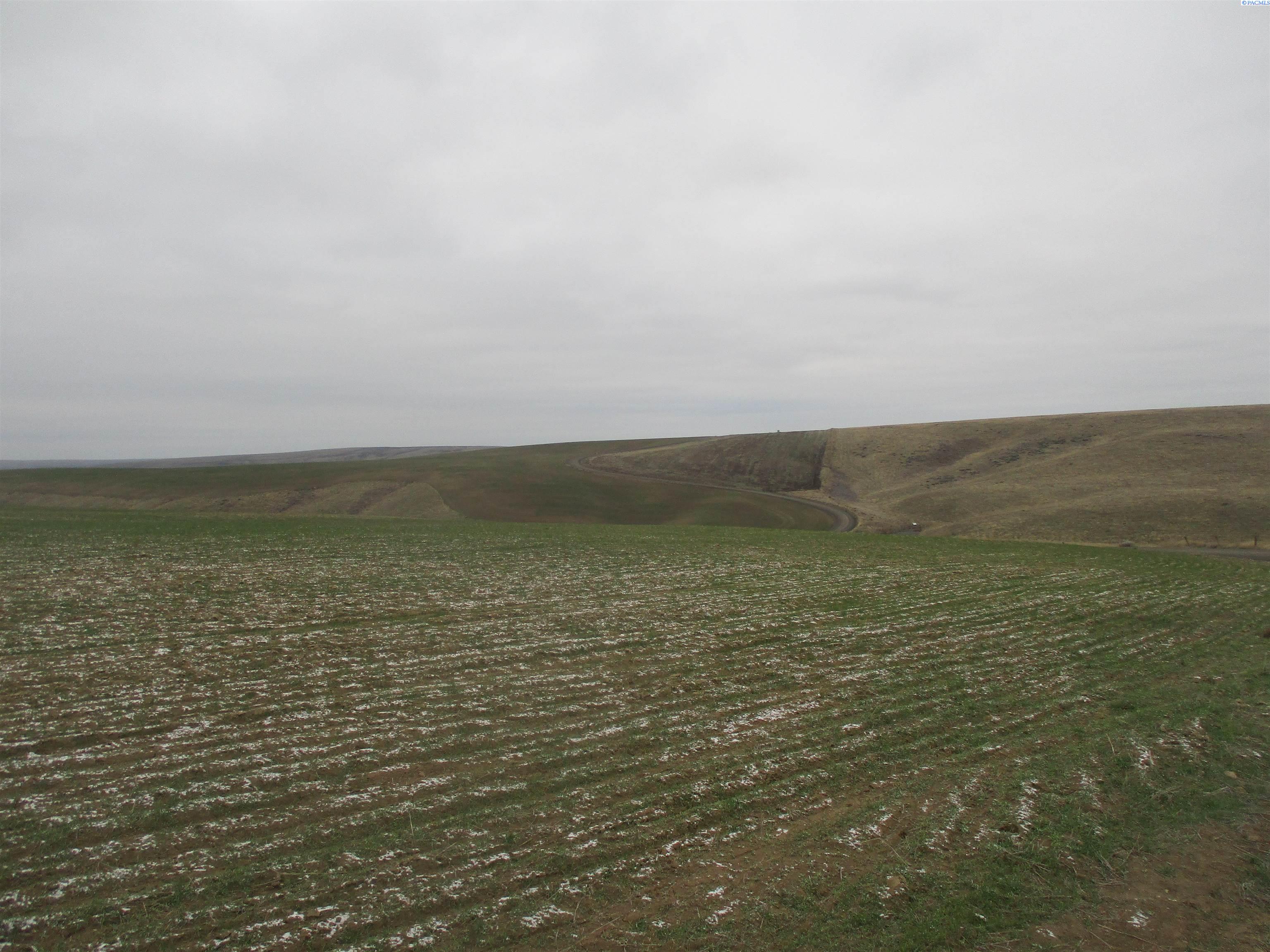 Nka Nka Rice Road Kahlotus, WA 99335 - Photo 1 of 5 Gallery Image 1