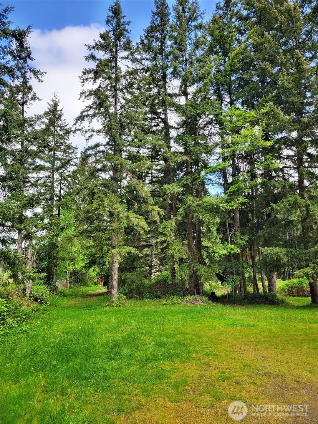 213 Sommerville Road Chehalis, WA 98532 - Photo 23 of 32