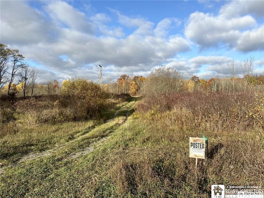 433 Hall Road Kiantone, NY 14701 - Photo 3 of 9