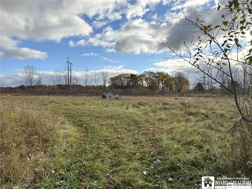 433 Hall Road Kiantone, NY 14701 - Photo 4 of 9